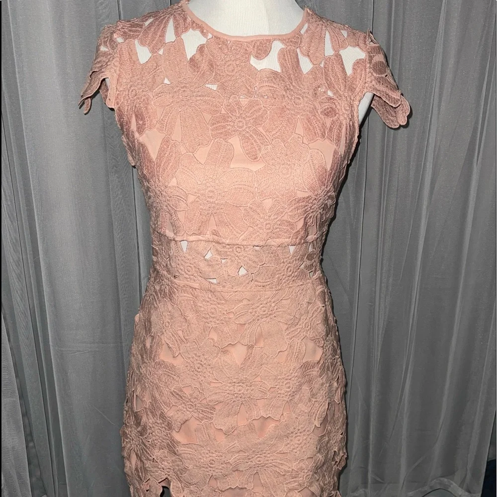 Romeo+Juliet Couture Dress - Picture 2 of 5